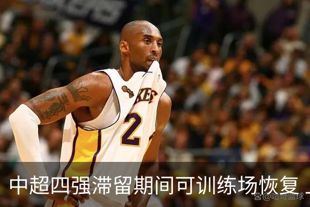 中超四强滞留期间可训练场恢复 上港感谢足协努力
